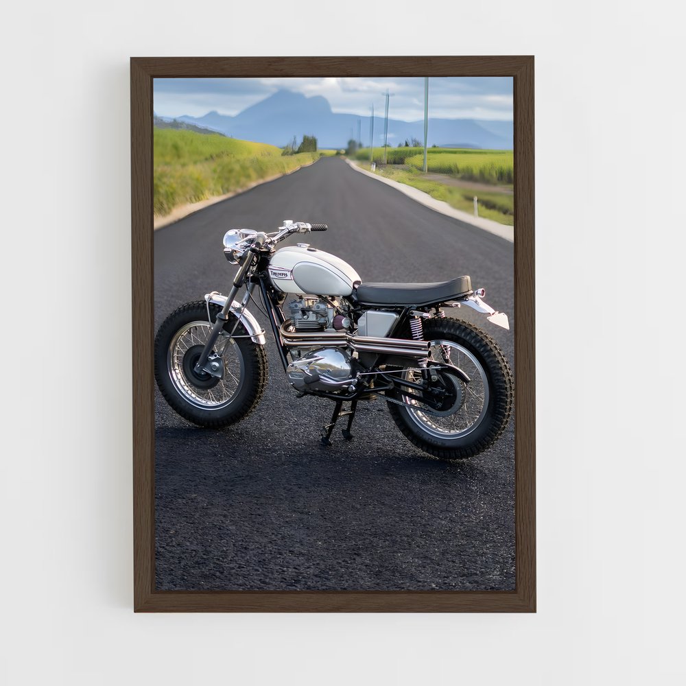 Poster Ride Into the Wild – affiche Ducati (vue 5)